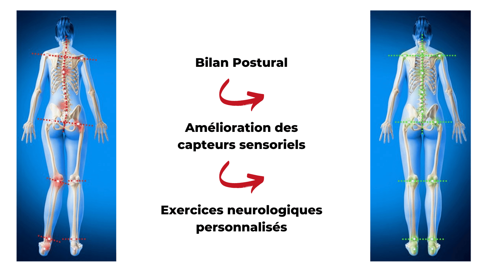 l'accompagnement en posturologie et neurologie fonctionnelle